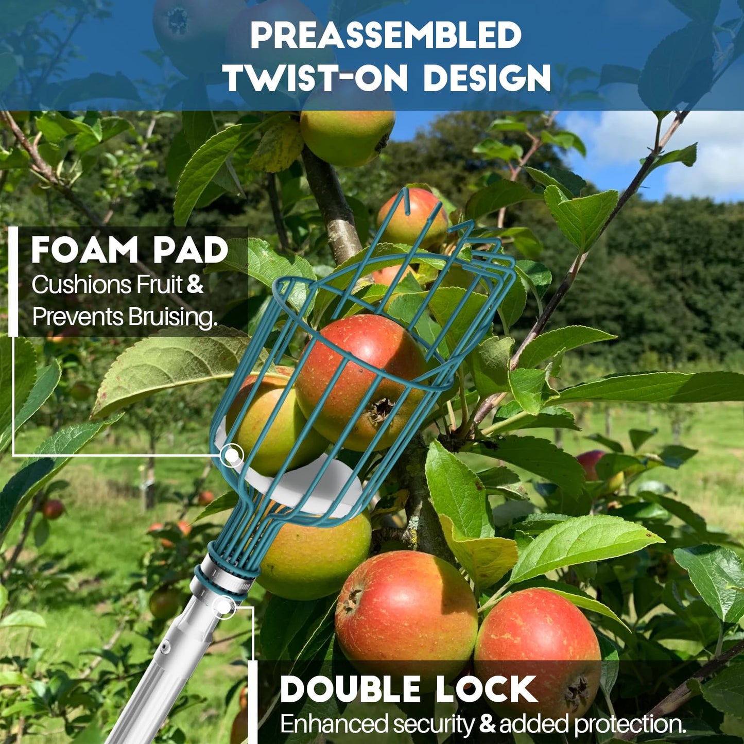 Telespro 12FT Telescoping Fruit Picker - 20+ Foot Reach, Lightweight Aluminum Extension Pole with Easy Attach Twist-On Apple Basket, Durable Fruit Picking Tool