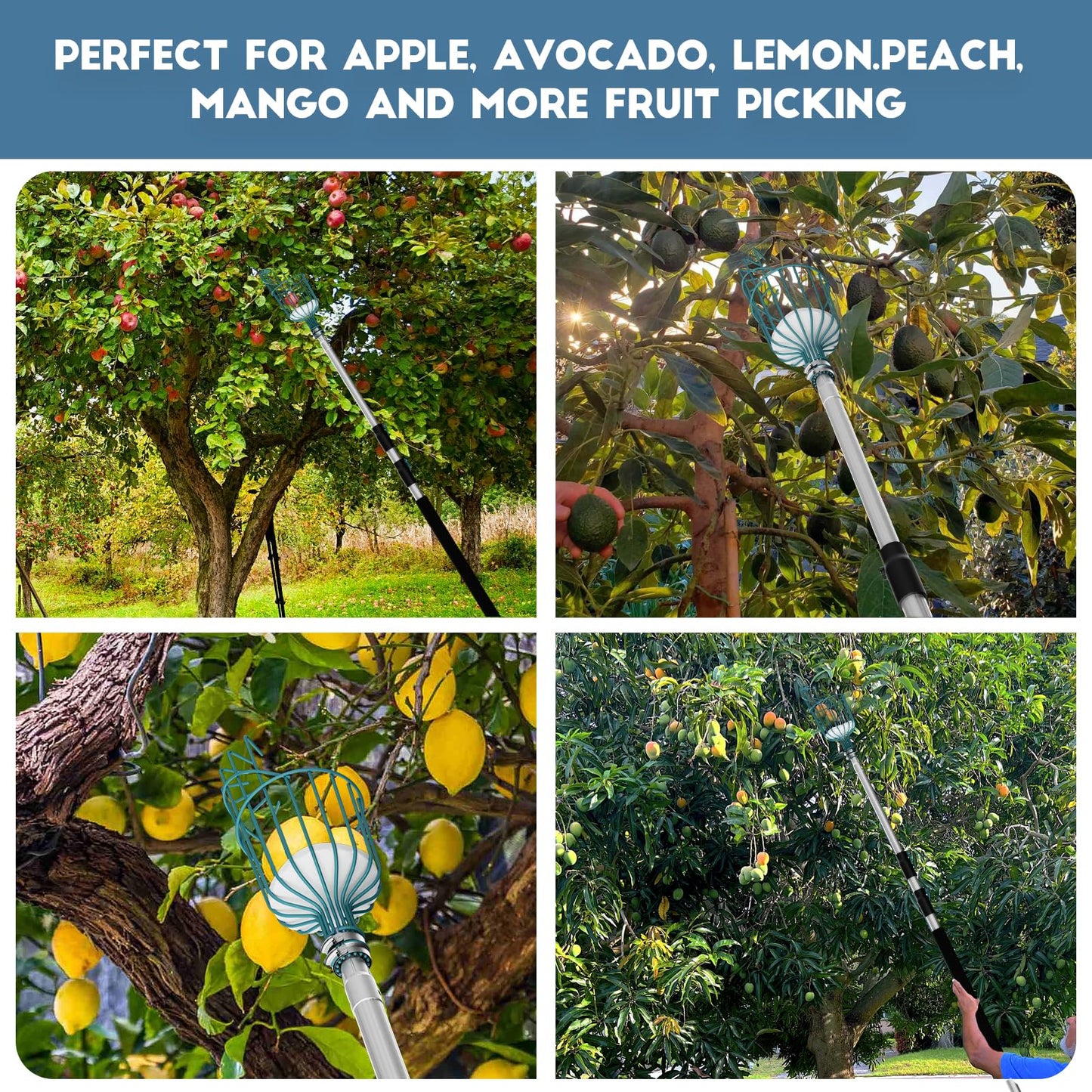Telespro 12FT Telescoping Fruit Picker - 20+ Foot Reach, Lightweight Aluminum Extension Pole with Easy Attach Twist-On Apple Basket, Durable Fruit Picking Tool